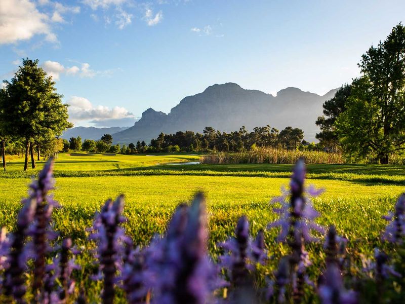 One of The Last Remaining North-Facing Stands in The Acres at Pearl Valley Golf & Country Estate - Photo 8