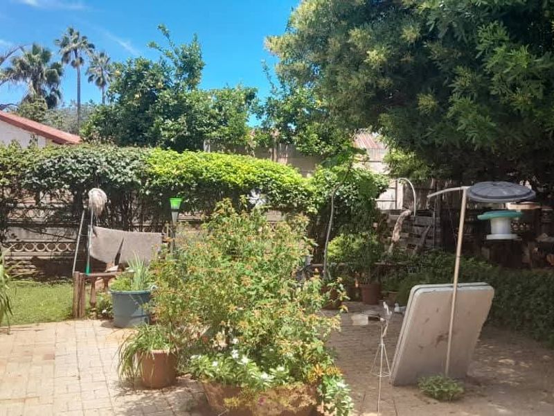 A private rear garden featuring a paved patio area, mature trees, and established landscaping, providing a quiet outdoor space.