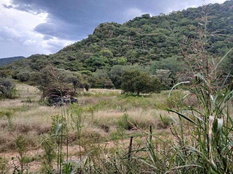 A scenic view of the natural landscape featuring rolling hills, dense vegetation, and open fields on the farm property.