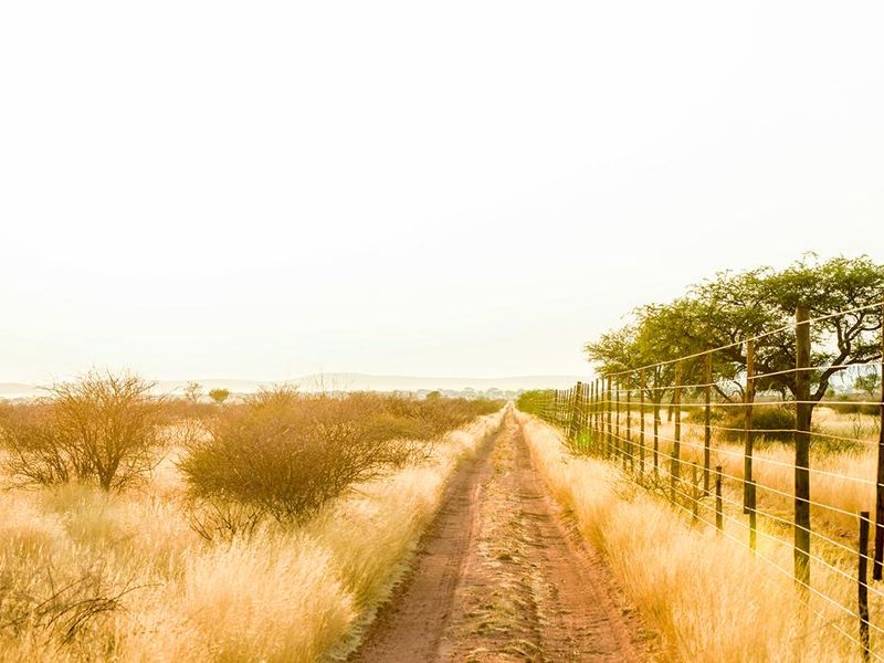 15 000 HA Premium Multi-Use Farmland - Photo 8