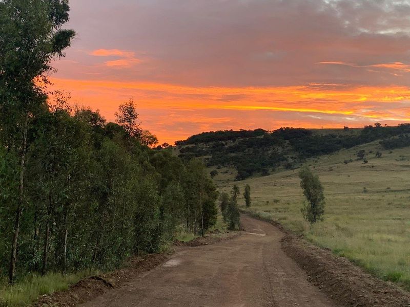 A scenic view of a rural dirt road winding through open grassland and native trees under a vibrant sunset sky.