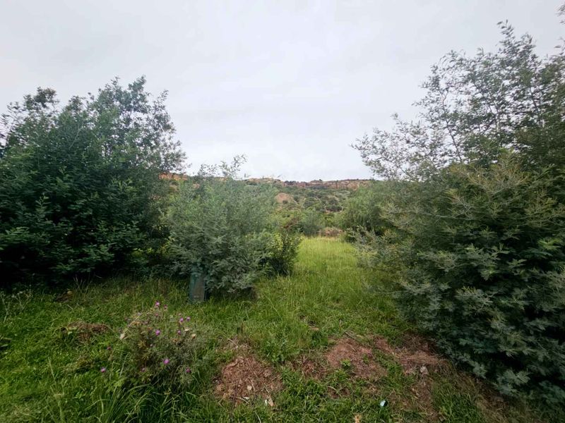 **Discover Your Dream Home Location with Stunning Mountain Views** - Photo 5