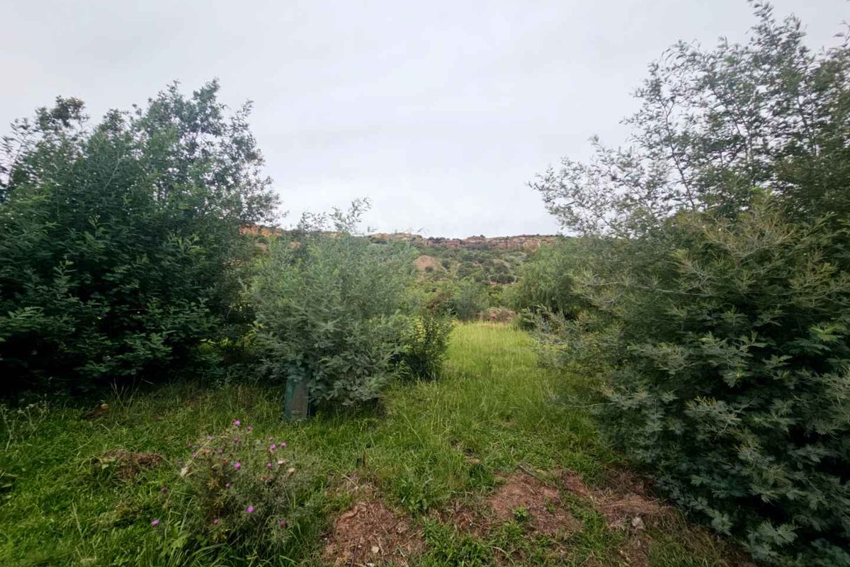 **Discover Your Dream Home Location with Stunning Mountain Views** - Photo 5