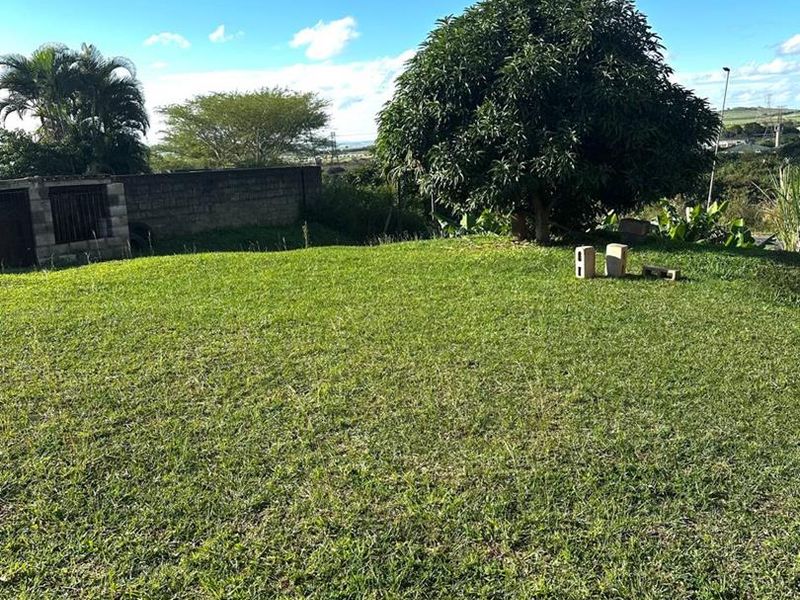 A spacious, well-maintained grassy garden area featuring a mature tree and a solid boundary wall.