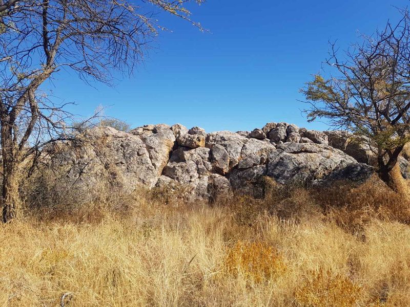 Most beautiful setting in Camelthorn Estate Okahandja - Photo 7