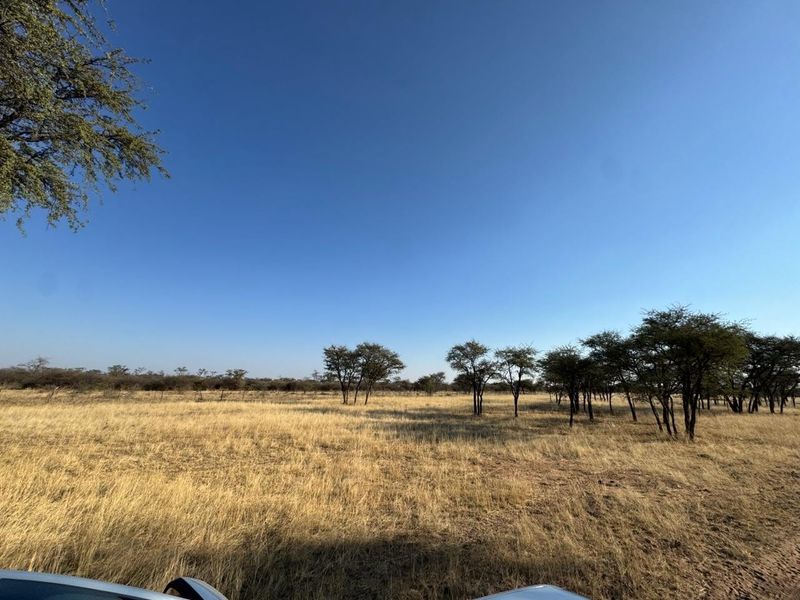 Expansive open farm landscape featuring native trees and dry grassland, showcasing the natural terrain and rural character of the property.