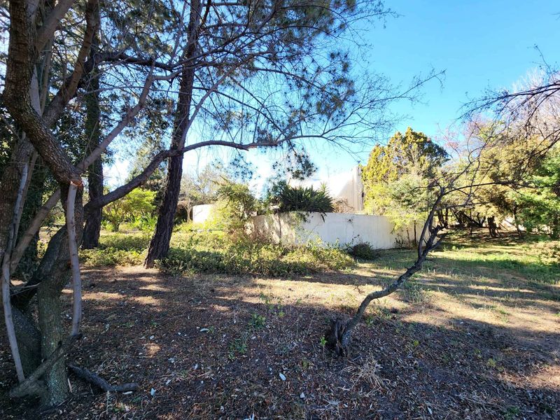 Investor’s Opportunity – 2.5 Hectares for Sale in Glenferness - Photo 5