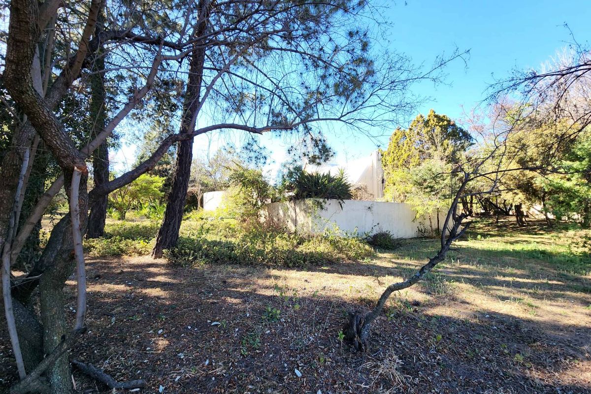 Investor’s Opportunity – 2.5 Hectares for Sale in Glenferness - Photo 5