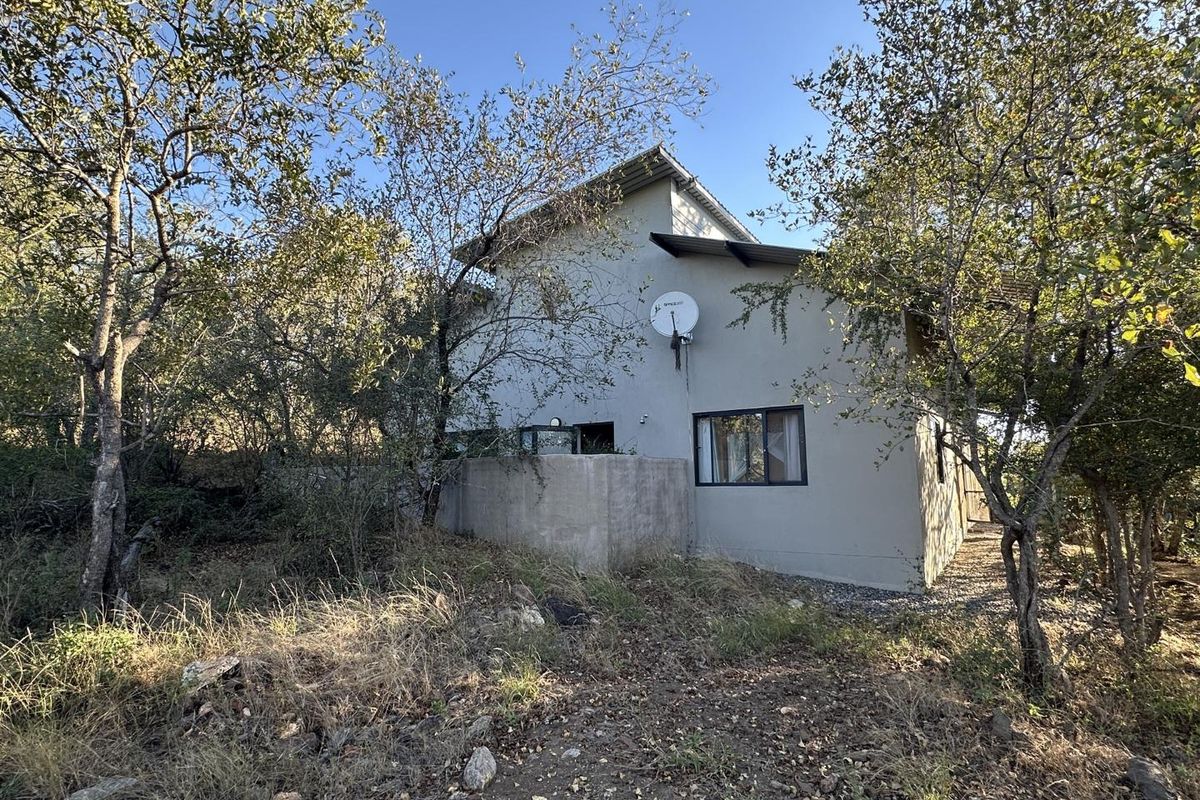 Rear view of the house featuring a concrete retaining wall, metal roofing, and a satellite dish, surrounded by natural bushveld vegetation.