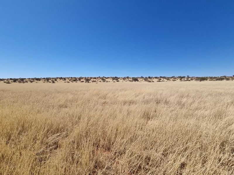 GORGEOUS CATTLE / SHEEP / GAME FARM FOR SALE IN STAMPRIET - Photo 3