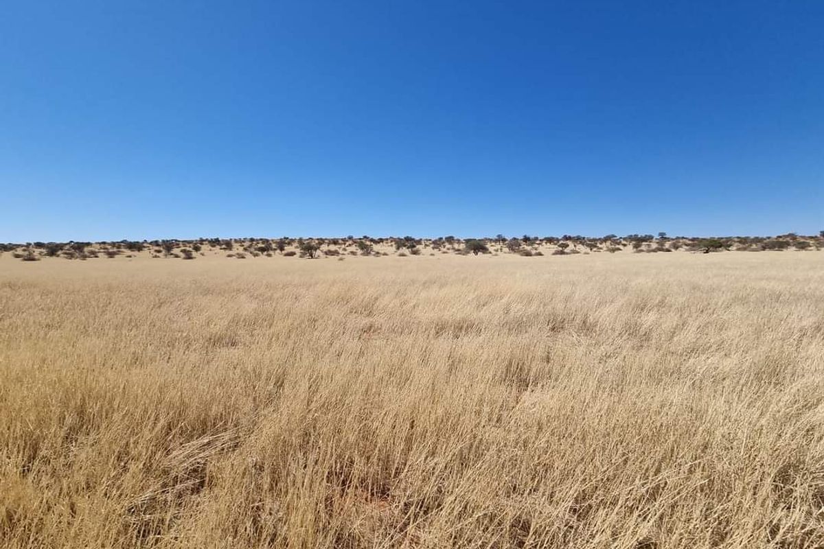 GORGEOUS CATTLE / SHEEP / GAME FARM FOR SALE IN STAMPRIET - Photo 3