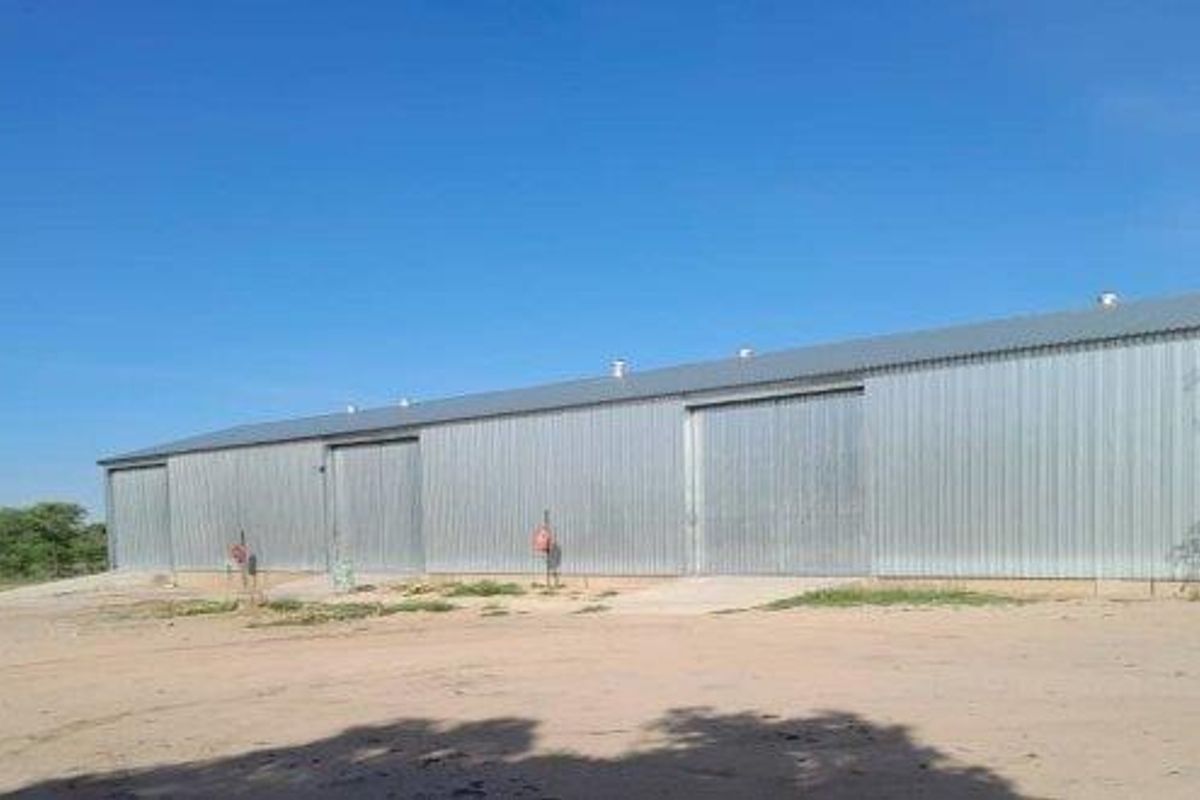 INDUSTRIAL WAREHOUSE TO LET - OKAHANDJA - Photo 2
