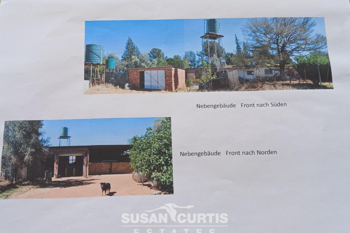 BEAUTIFUL SMALL HOLDING - Photo 4