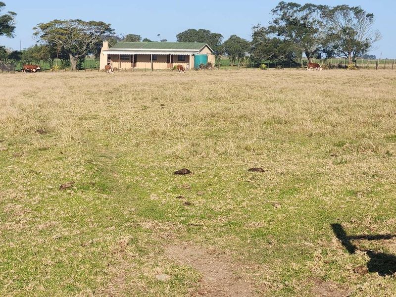 Farm For Sale In George Rural. - Photo 8