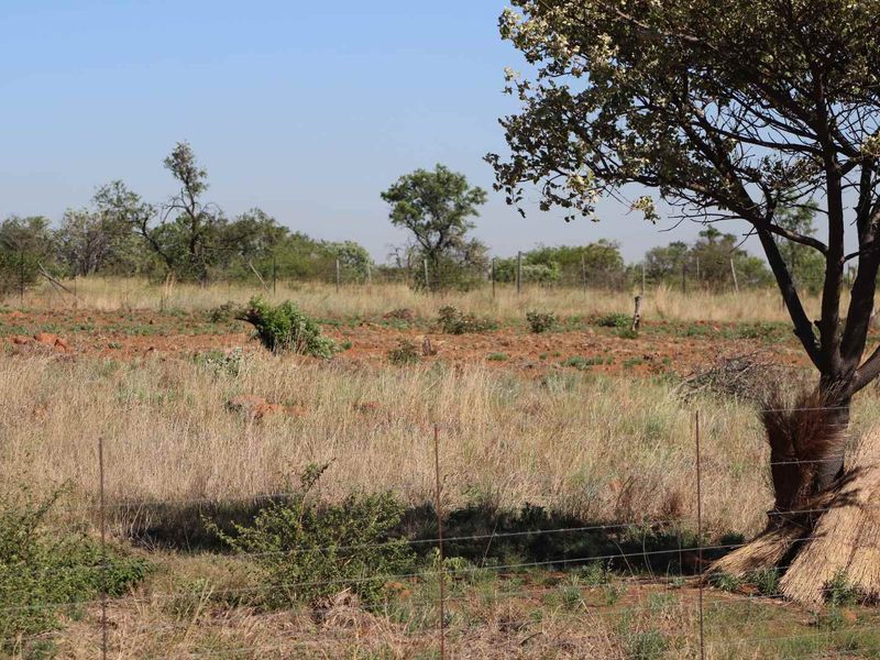 An expansive view of the undeveloped small holding land, featuring natural veld vegetation, indigenous trees, and perimeter wire fencing.