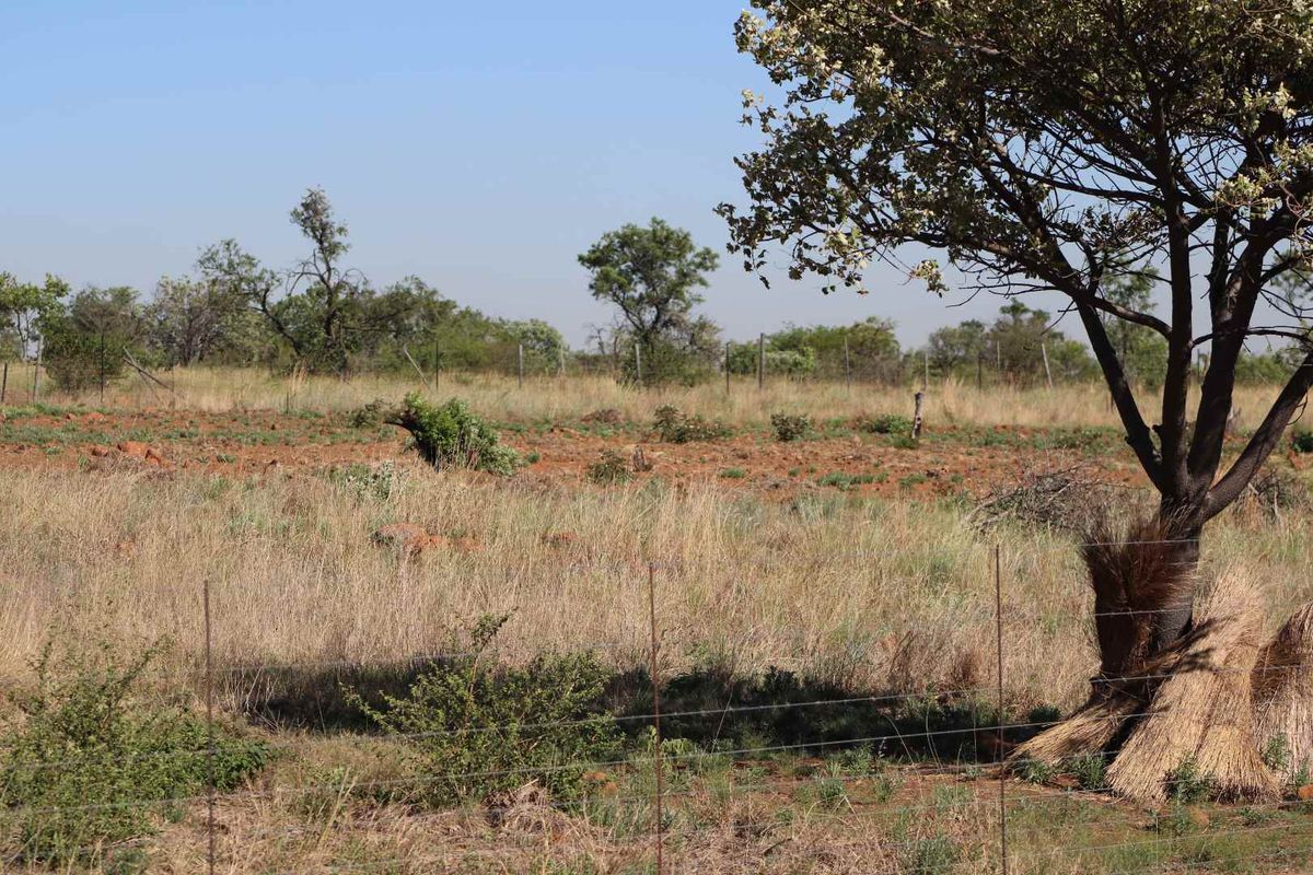 An expansive view of the undeveloped small holding land, featuring natural veld vegetation, indigenous trees, and perimeter wire fencing.