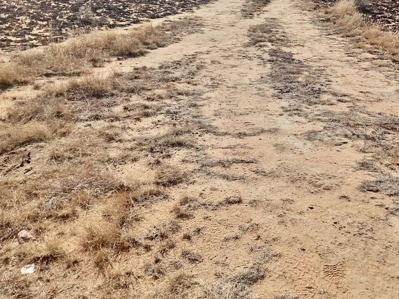 Land for Sale at Heidelberg - Photo 2