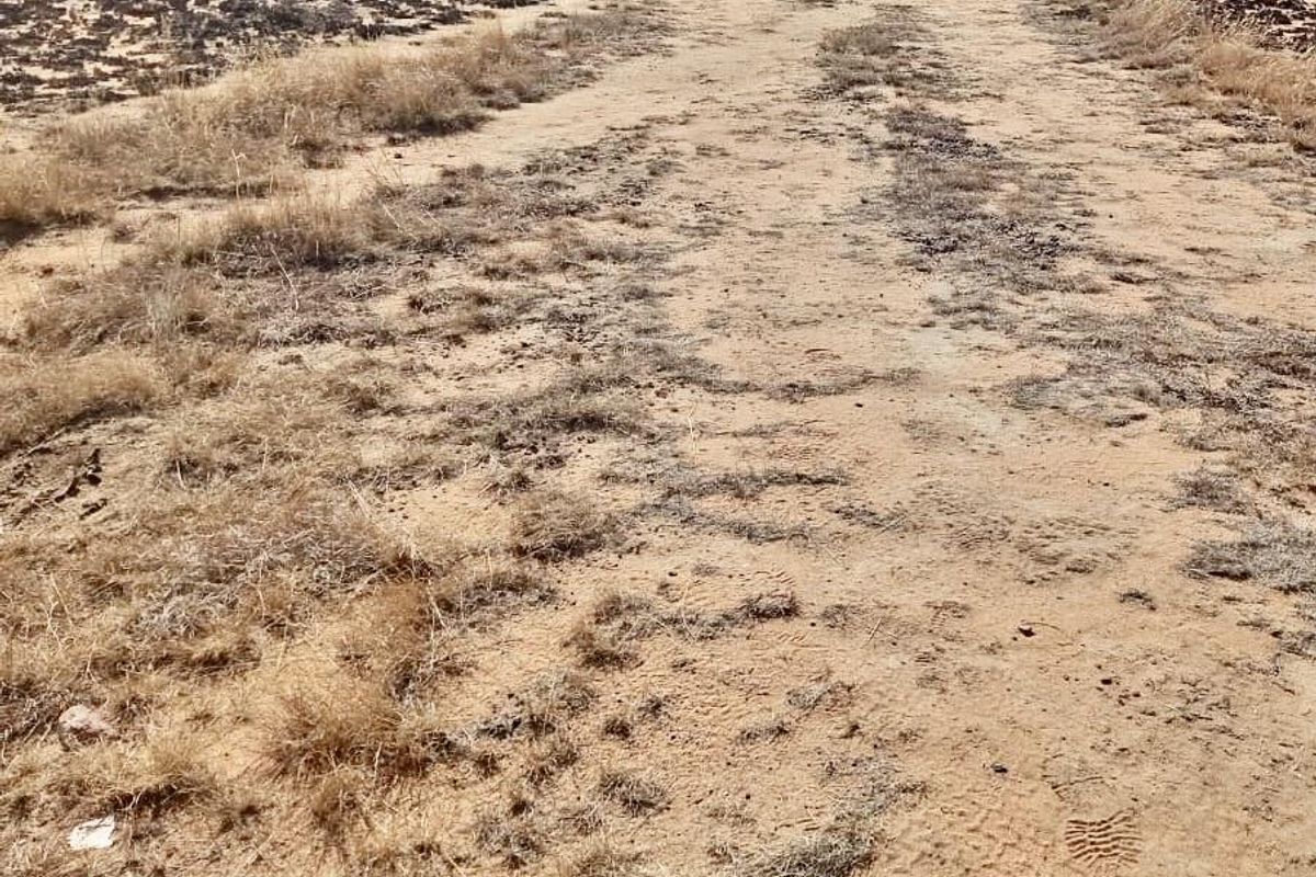 Land for Sale at Heidelberg - Photo 2