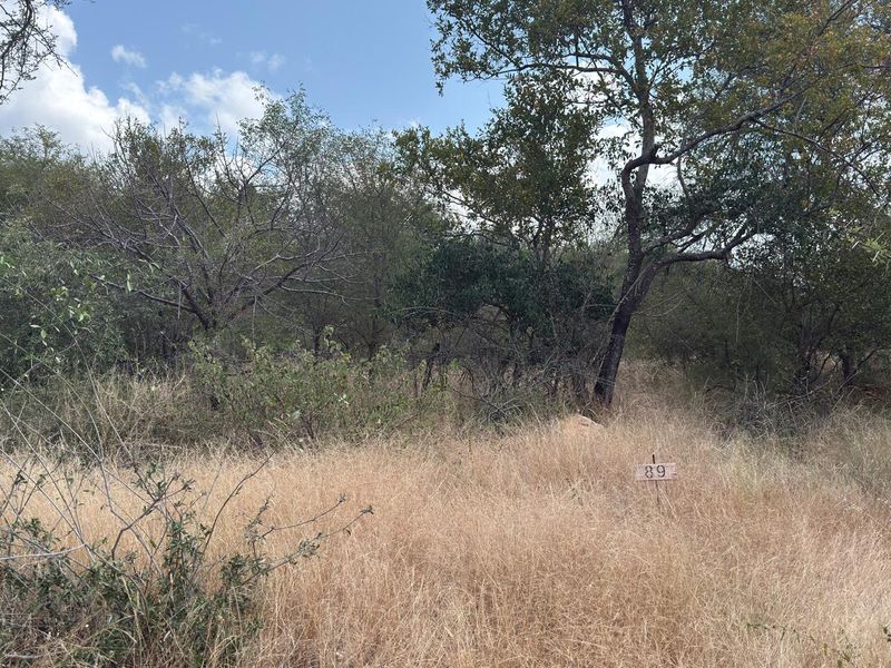 Lovely Bushveld Stand in Elephant Rock!! - Photo 4