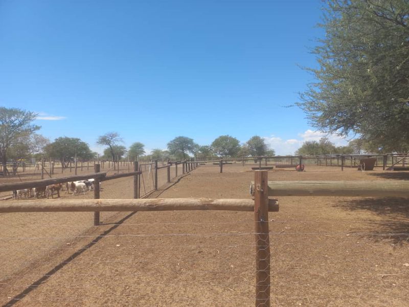 Ozombanda, Okahandja:  Agricultural Smallholding is for Sale - Photo 2