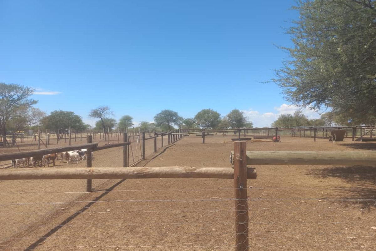 Ozombanda, Okahandja:  Agricultural Smallholding is for Sale - Photo 2