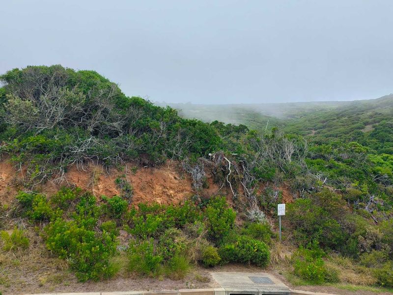 Exclusive Oppertunity - 1813m2 Vacant Land in Paradise Coast Eco Estate - Photo 9