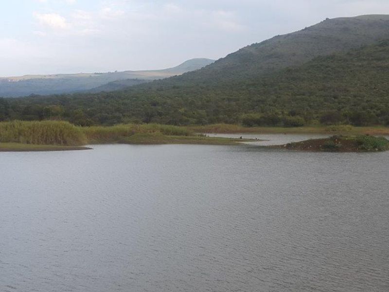 STUNNING GAME FARM FOR SALE IN OHRIGSTAD, LIMPOPO - Photo 7