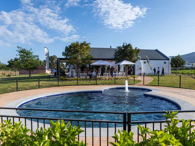 Modern Winelands living with an ideal park frontage location on Paarl Valleij Lifestyle Estate & Farm - Photo 7