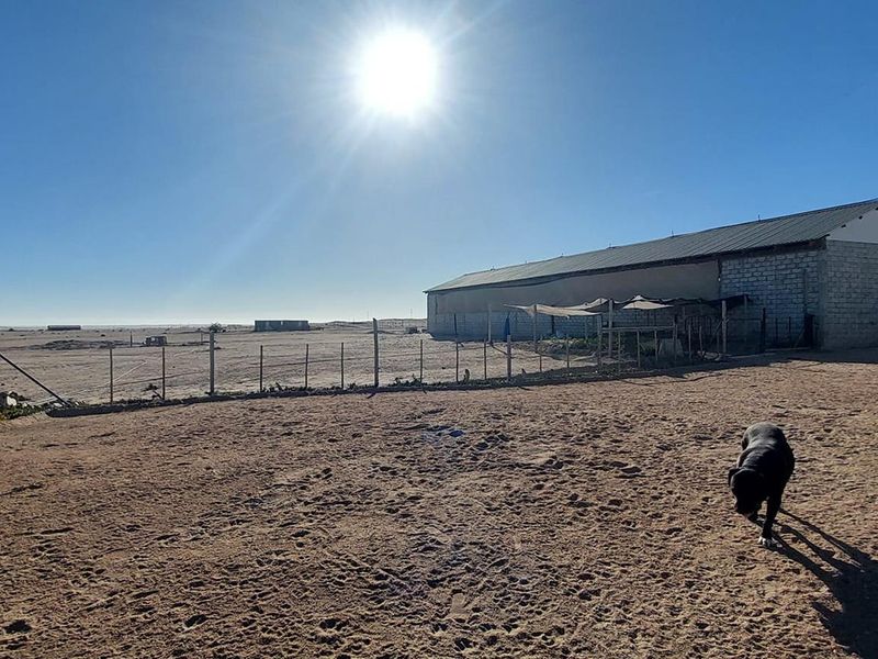A wide view of the rear exterior of the small holding, featuring a large outbuilding with corrugated roofing and extensive open sandy grounds.