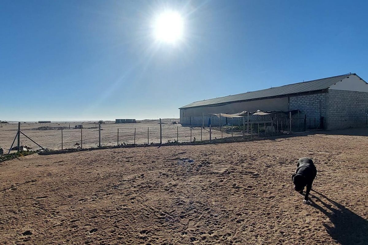 A wide view of the rear exterior of the small holding, featuring a large outbuilding with corrugated roofing and extensive open sandy grounds.