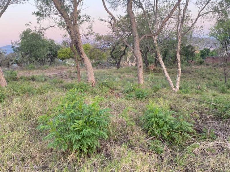 Glorious views! - Photo 4