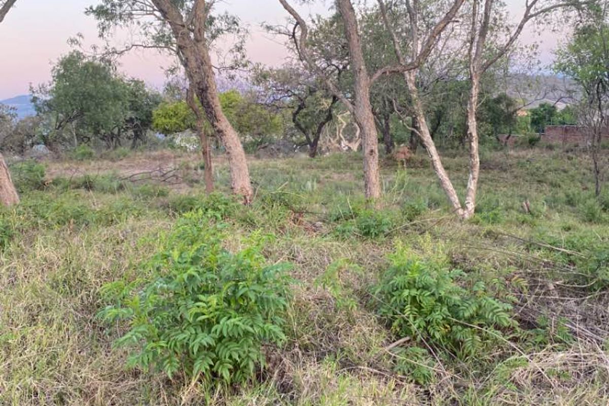 Glorious views! - Photo 4