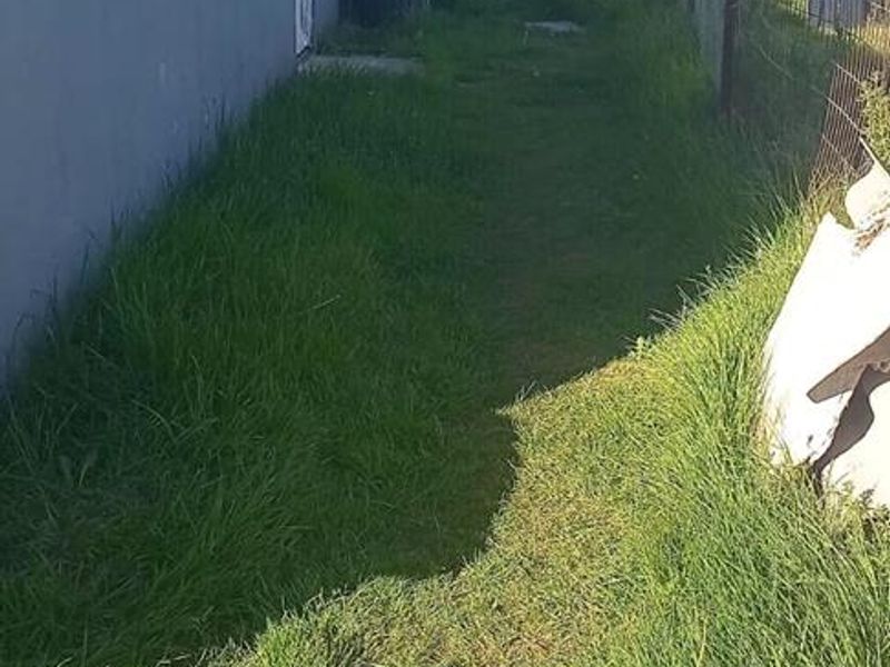 A narrow side or rear yard area featuring a concrete path and wire mesh boundary fencing, currently requiring landscaping maintenance.