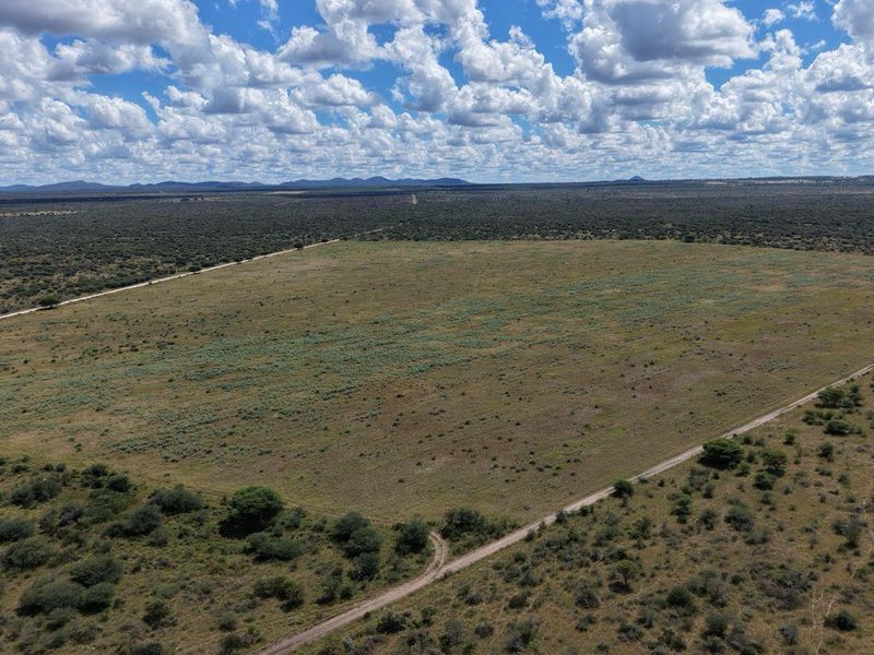 FEEDLOT FARM FOR SALE – GROOTFONTEIN - Photo 2