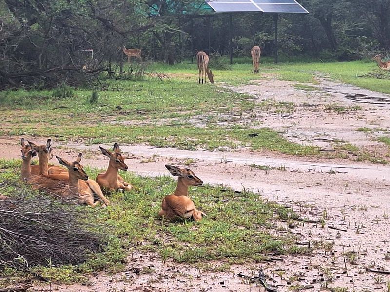 500m2 Stand in Prime Location - Photo 8