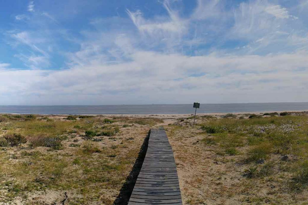 *SOLE MANDATE* Corner Plot in Atlantic Waves, Velddrif - Photo 4