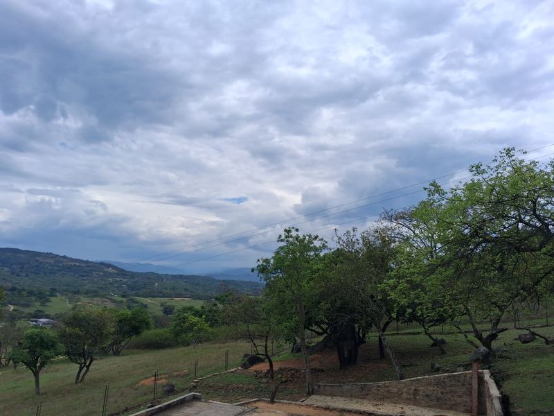 A scenic view overlooking the farm landscape, featuring rolling hills, mature trees, and a stone retaining wall in the foreground.