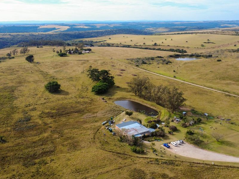 Beautiful 21 ha Farm for Sale - A Rare Opportunity - Photo 8