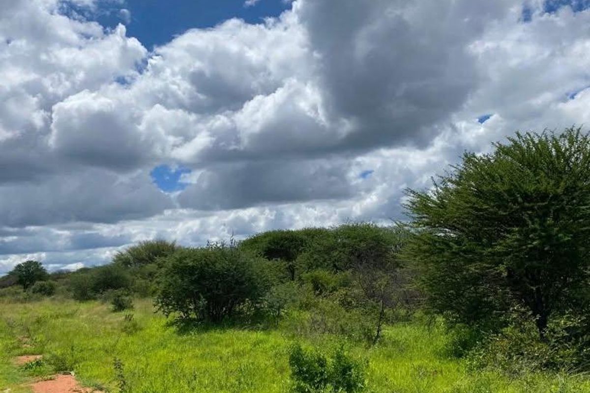 A Rare 1,268.25-Hectare Game Farm in the Hochfeld Area - Photo 2