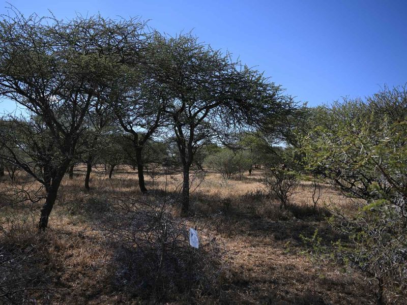 DEVELOP YOUR DREAM RETREAT IN SHONA LANGA RESORT - Photo 10