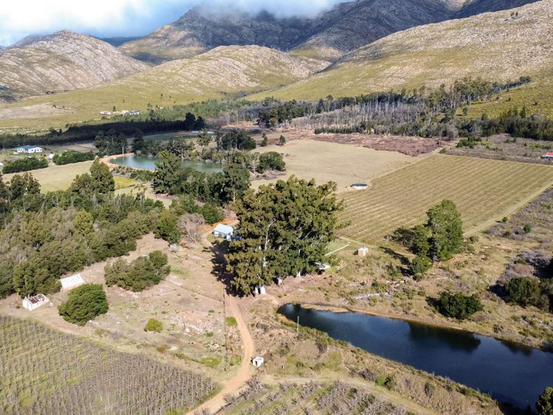 Grootnek Guest Farm – Krakeel River, R62 Eastern Cape - 46.492 ha - Photo 4