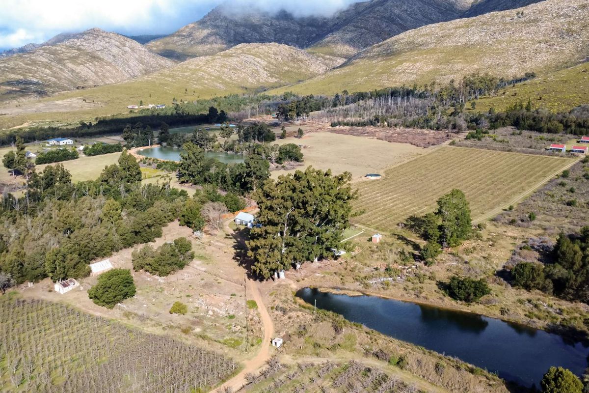 Grootnek Guest Farm – Krakeel River, R62 Eastern Cape - 46.492 ha - Photo 4