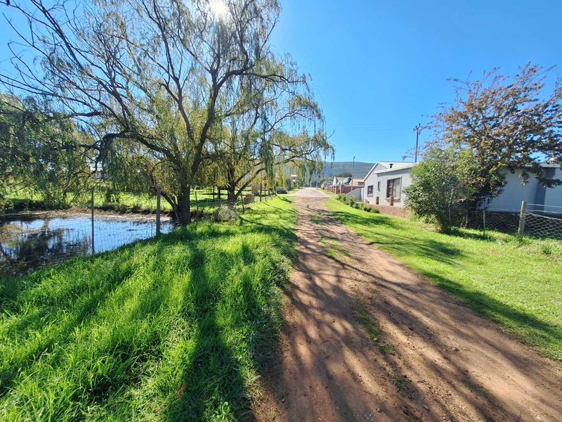 Somewhere Dreamy - Photo 3