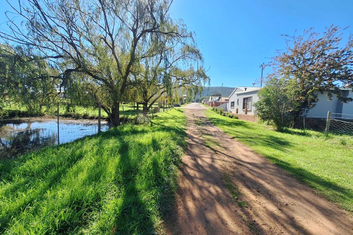 Somewhere Dreamy - Photo 3