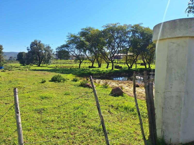 Somewhere Dreamy - Photo 10