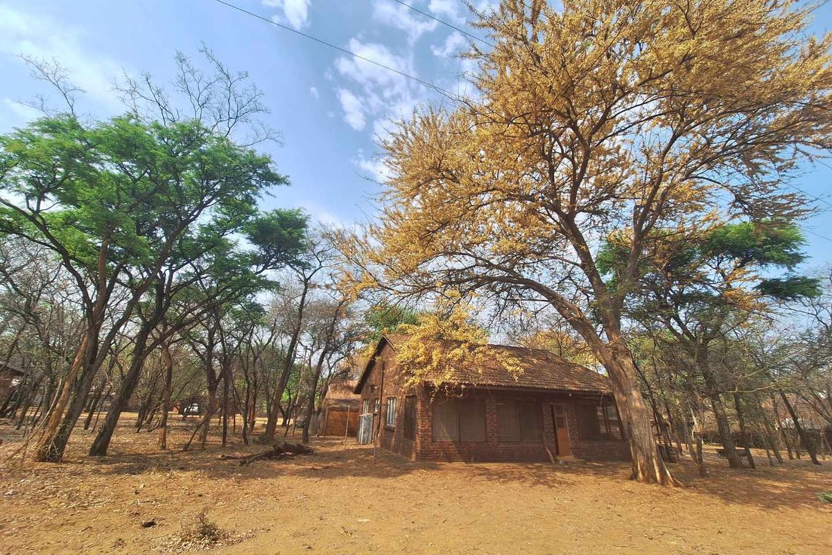 A rustic brick-built house nestled within a natural wooded landscape, featuring a traditional pitched roof and established surrounding trees.