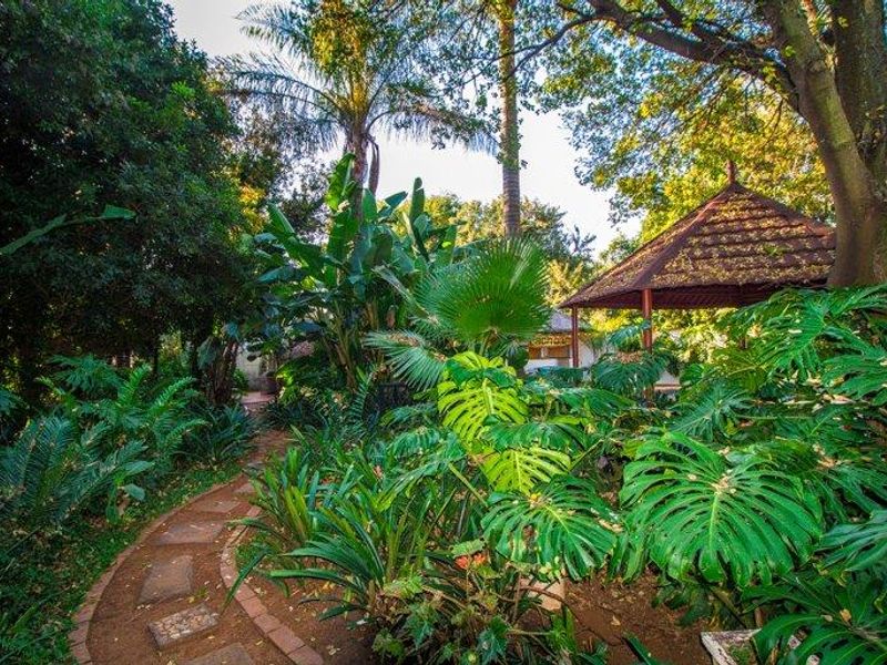 4 Bedroom home with 2 bed thatched flatlet - Photo 4