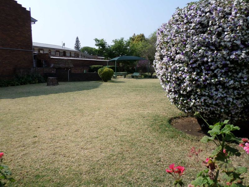 Spacious ground floor apartment. - Photo 3