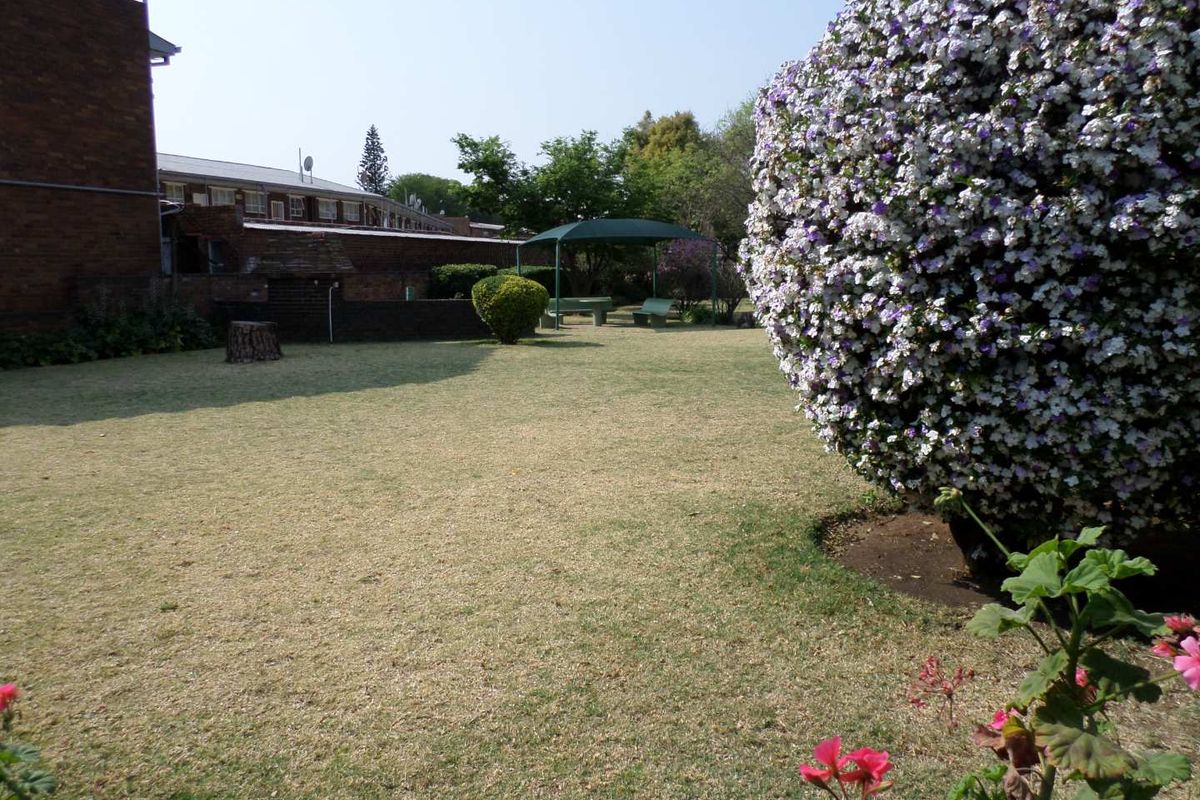 Spacious ground floor apartment. - Photo 3