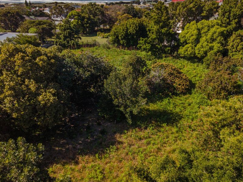 Mountain Avenue 977 sqm Vacant Stand in Kleinmond - Photo 3